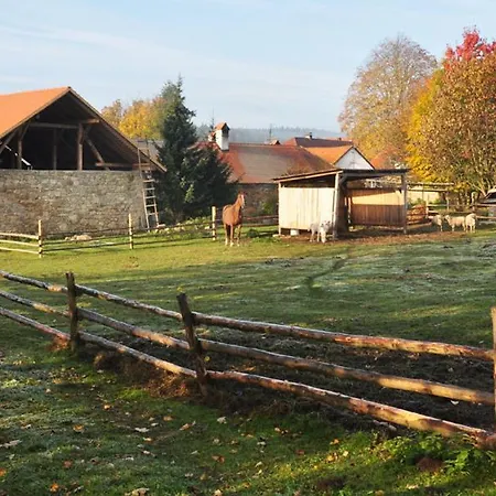 Lägenhet Ubytovani Ceska Kanada Český Rudolec